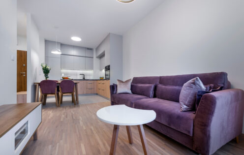 Modern Scandinavian living room interior design with wooden floor